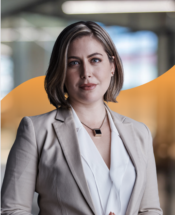Consultor legal en el sector energético